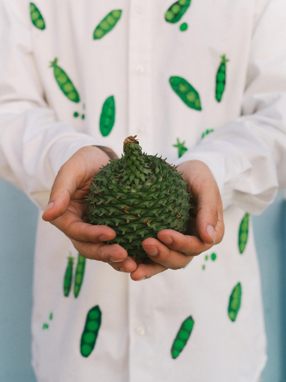 Photo : Raul Guillermo