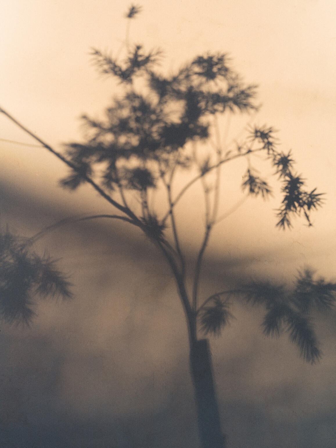 Photo : Raul Guillermo