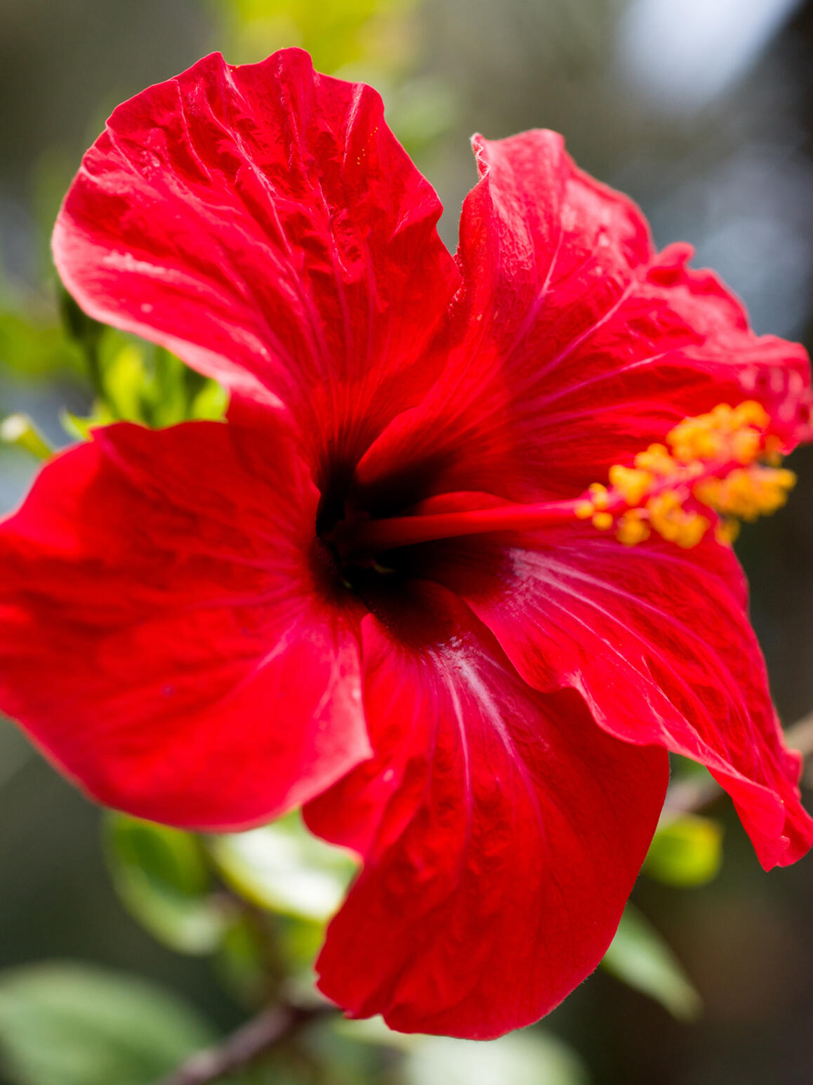 Photo : Raul Guillermo