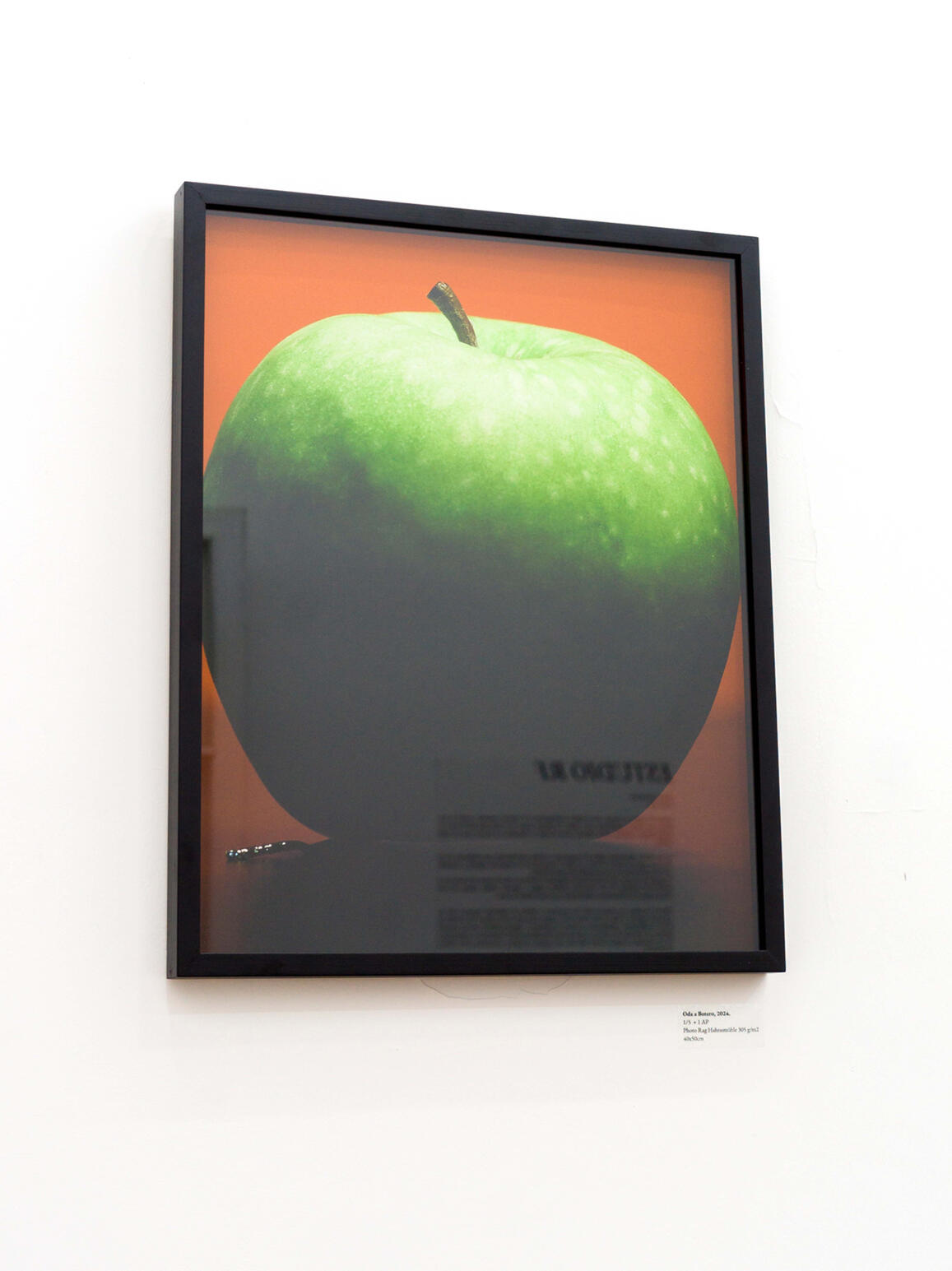 "Homenaje a Botero" - Raul Guillermo