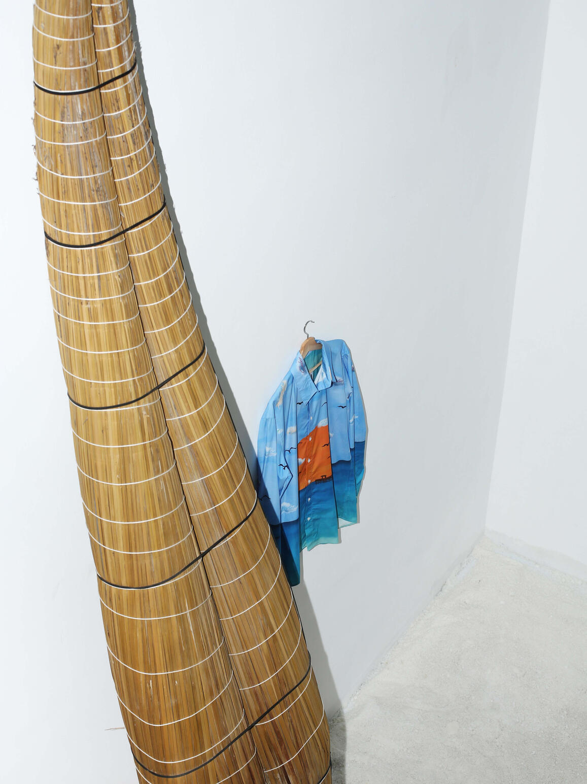 &quot;Caballo de Totora&quot; | &quot;La camisa atardecer - D.N.I