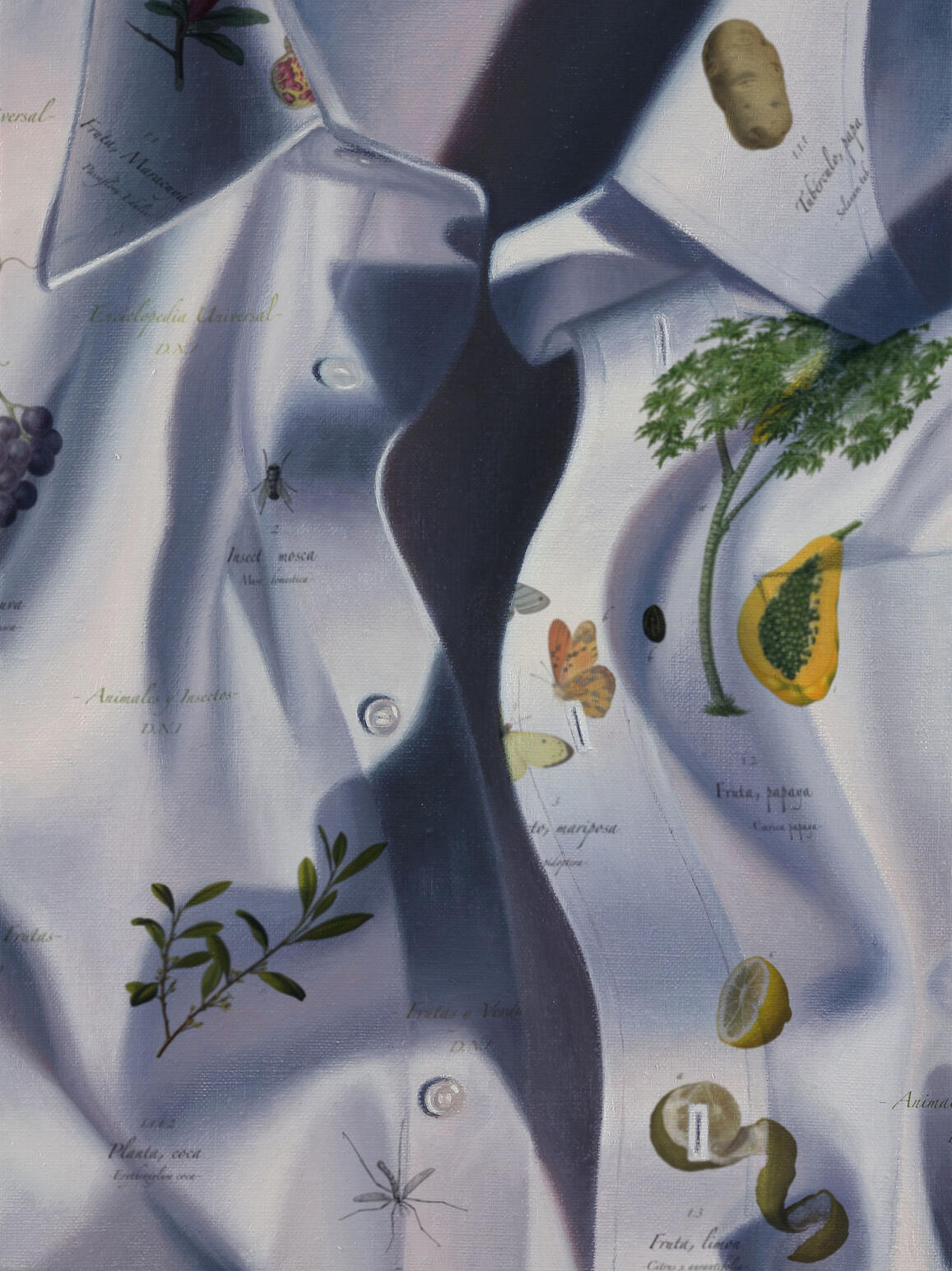 Illustrations numériques