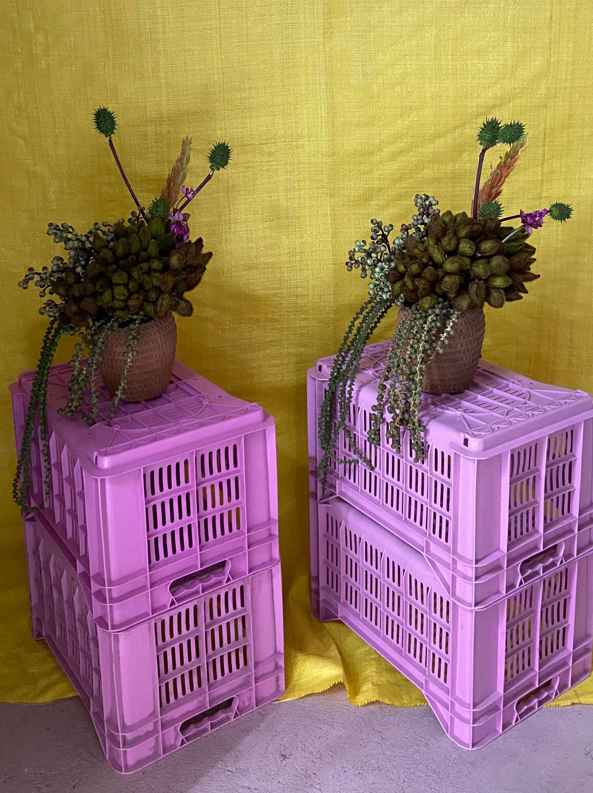 &quot;El arreglo floral&quot; – Lía Lázaro x D.N.I