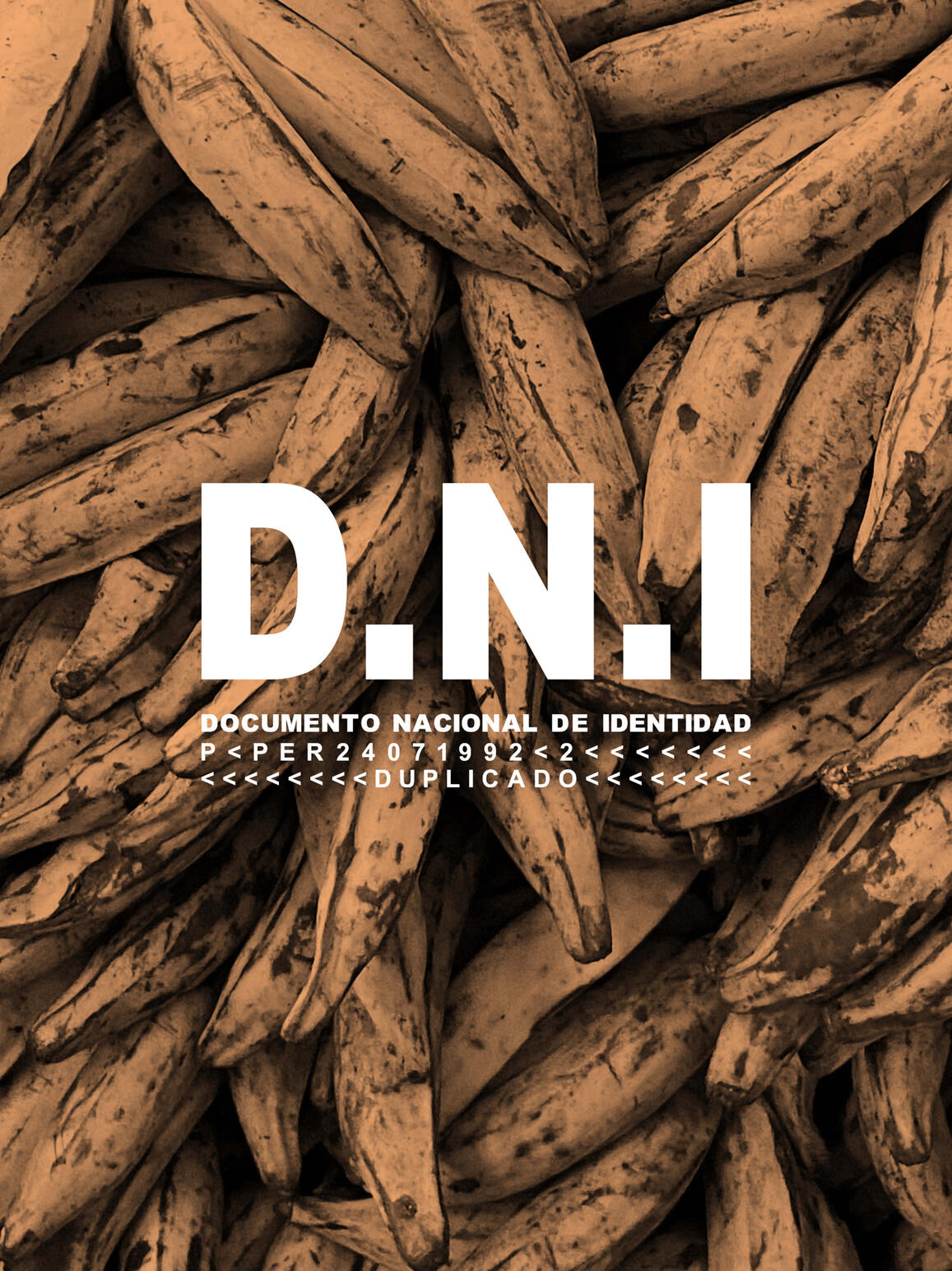 Photo: Paulo Ruiz Muñoz