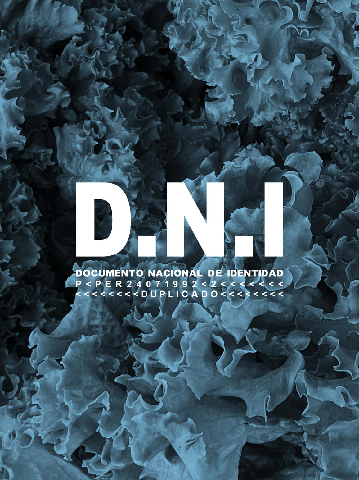 Photo: Paulo Ruiz Muñoz