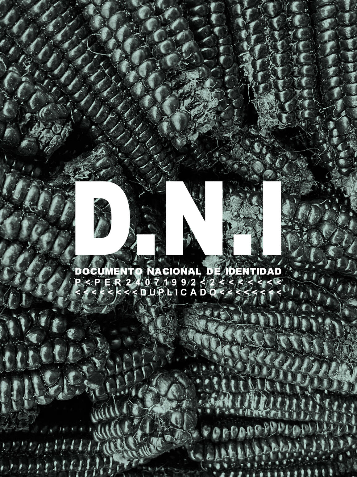 Photo: Paulo Ruiz Muñoz