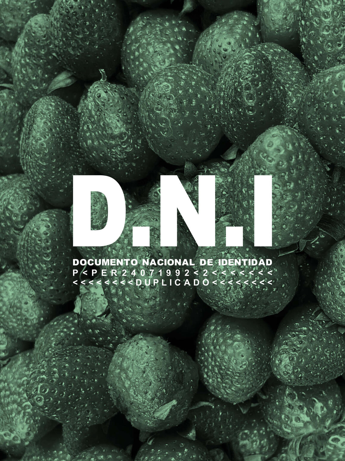 Photo: Paulo Ruiz Muñoz