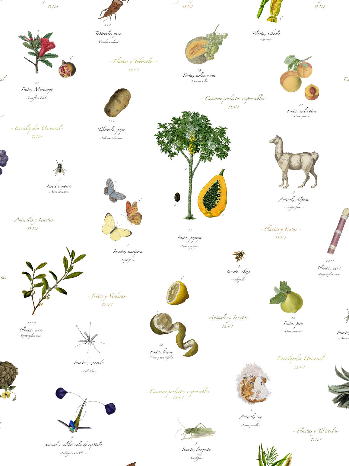 Motif all-over – D.N.I