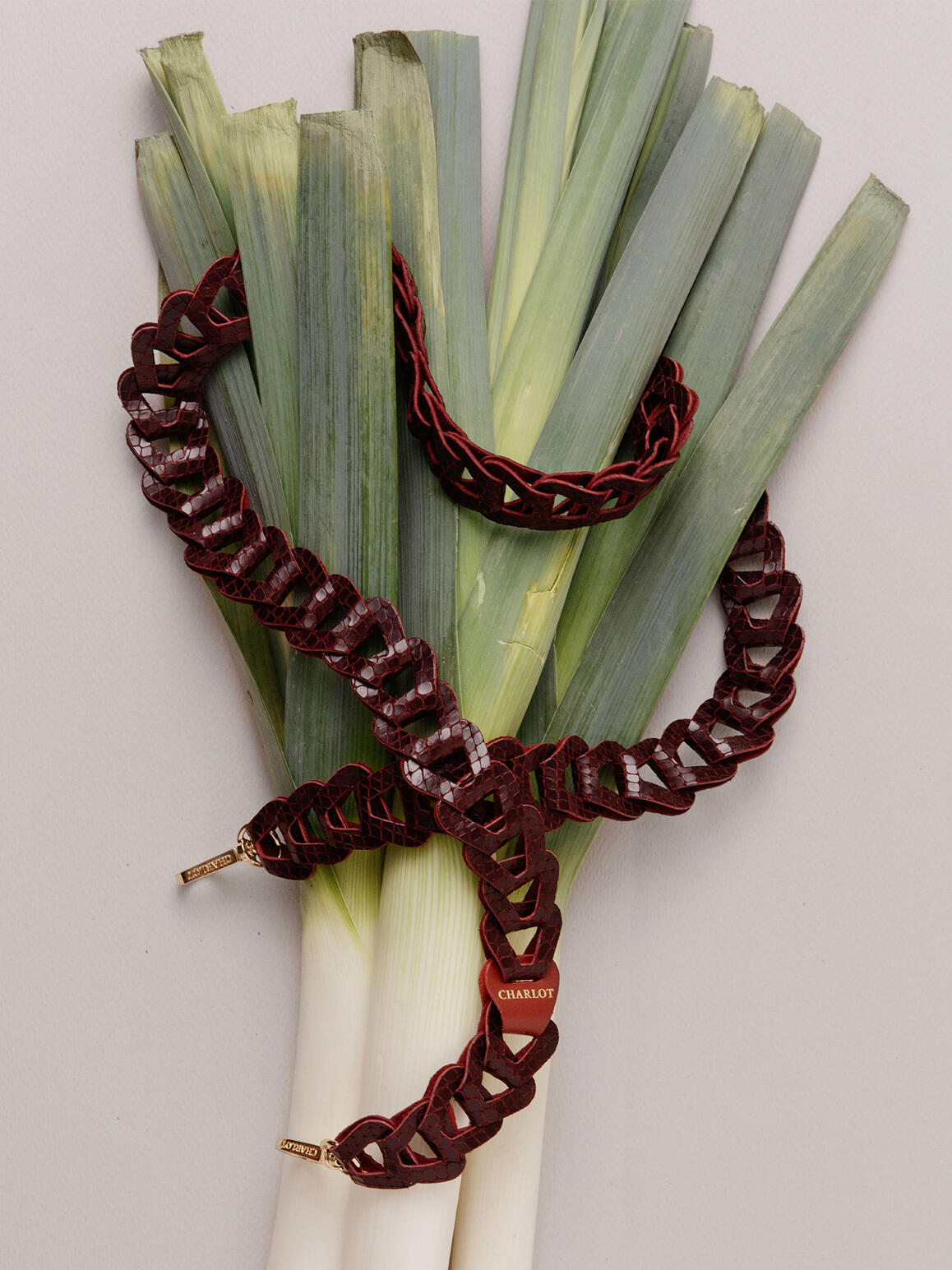 Photo : Gabriel Gómez