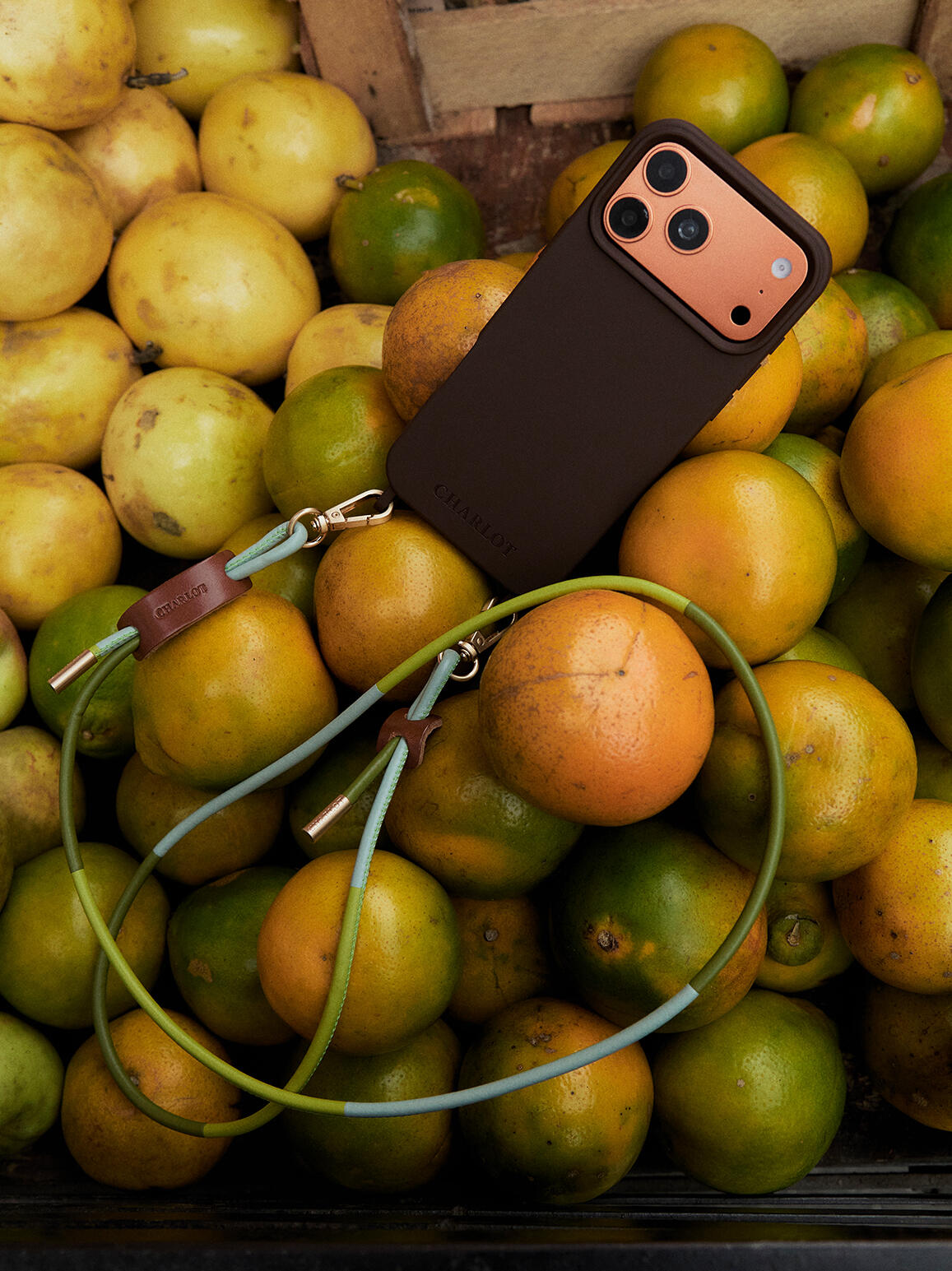 Coque de telephone sur des clementines